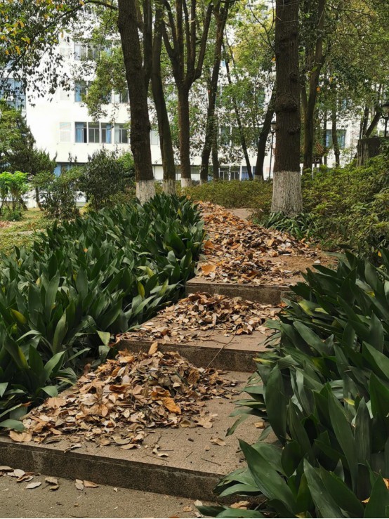 a春去夏来师生情 上下齐心待归期951.jpg
